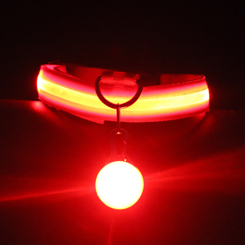 Hundhalsband led- mörker